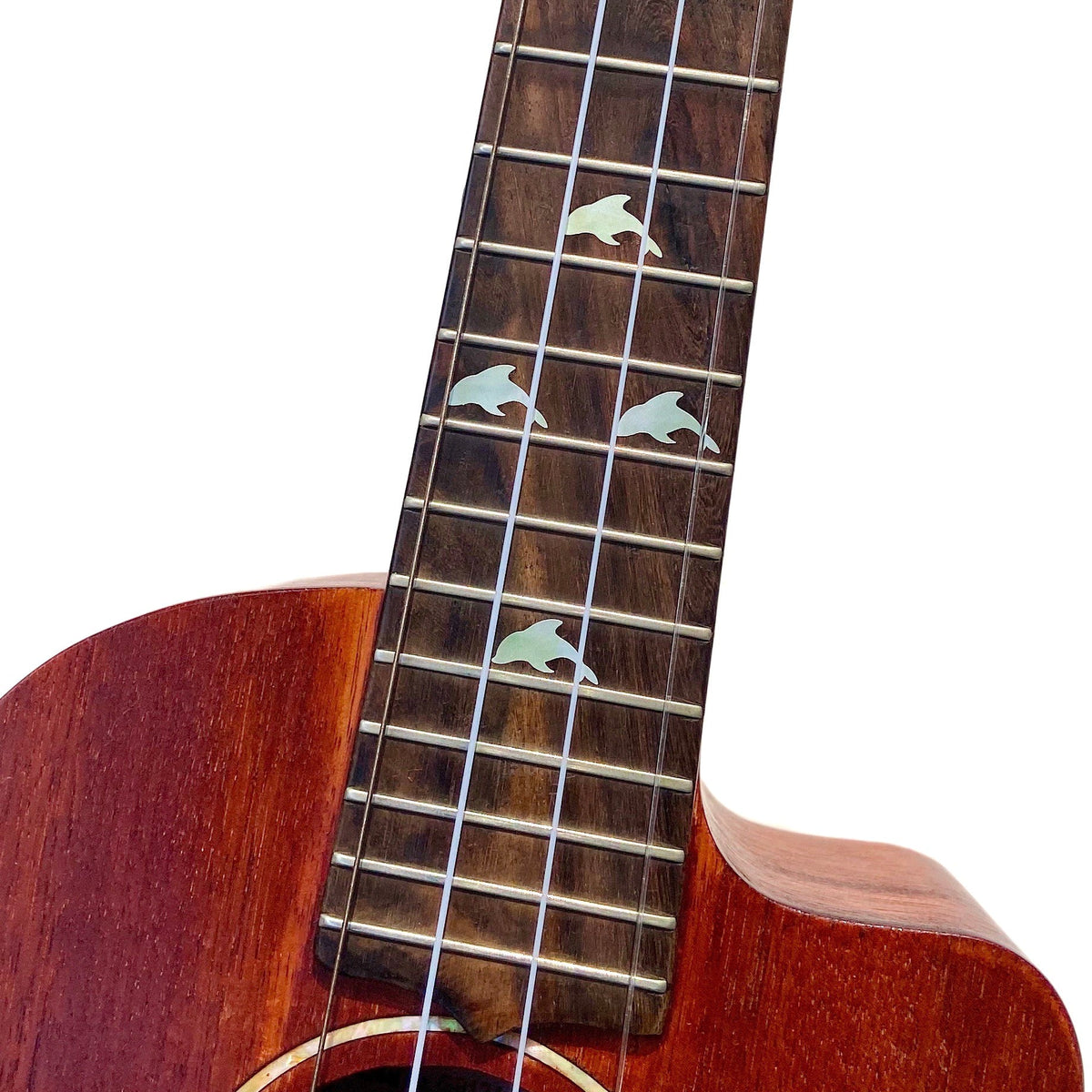 Dolphins Rosetta and Fret Markers / UKR-275DR - Inlay Stickers Jockomo