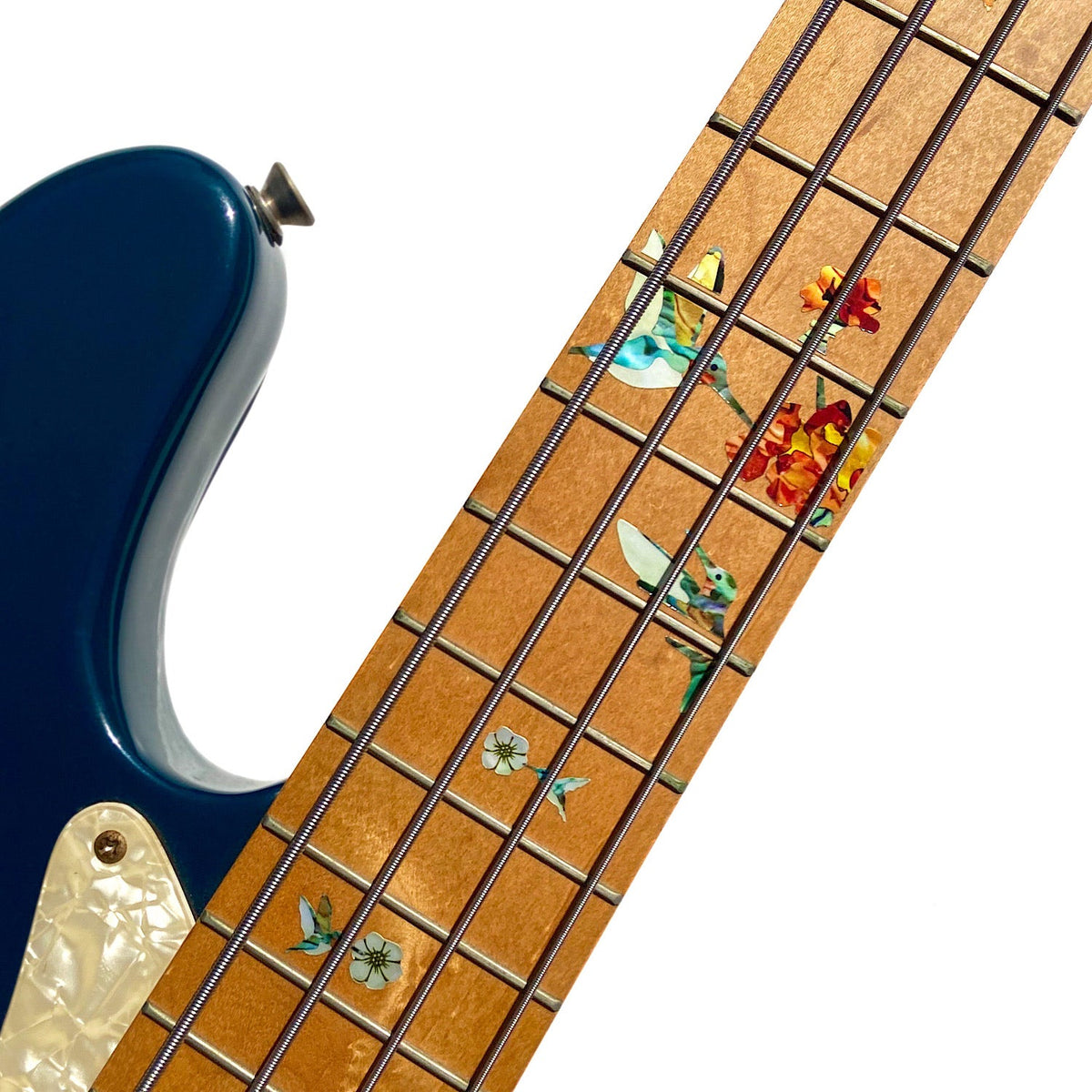 Bee Hummingbirds - for electric, acoustic & travel 3/4 size guitars & bass