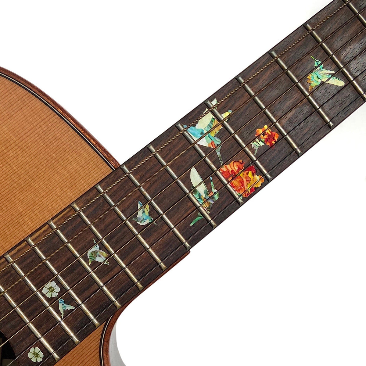 Bee Hummingbirds - for electric, acoustic & travel 3/4 size guitars & bass
