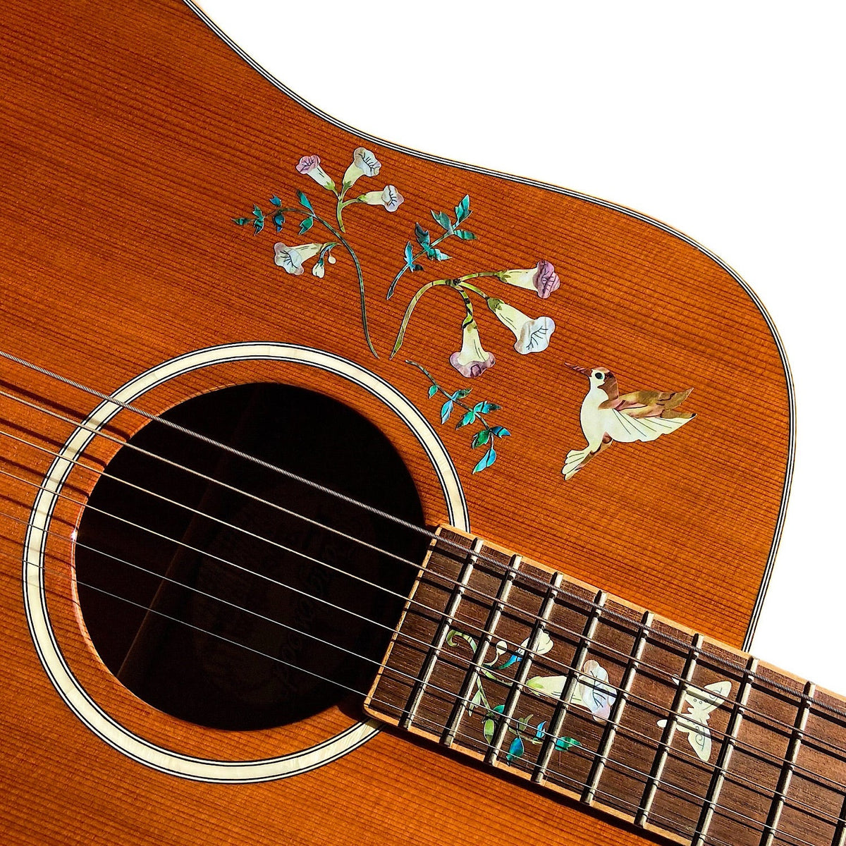 Assorted Hummingbird - Inlay Stickers Jockomo